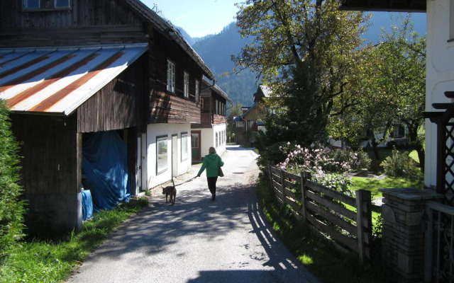 Apartment 14 Edelweiss Gosau