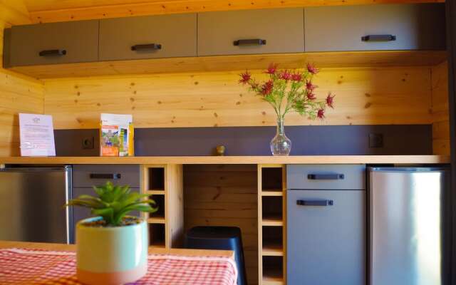 Domaine Joseph LAFARGE Wine Resort Oeno-tonneaux expérience