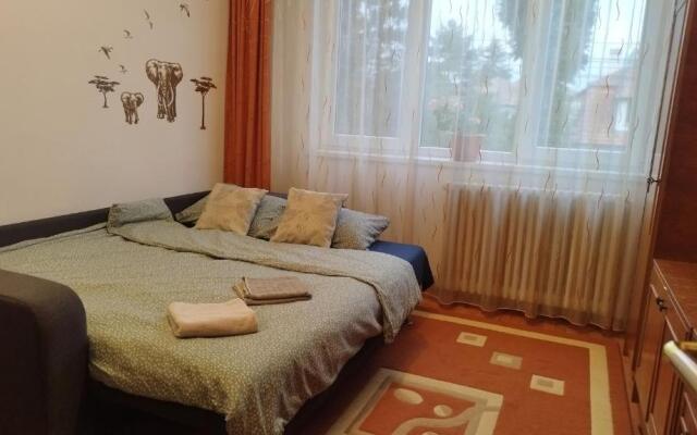 Apartament Nîsner-Bistritz