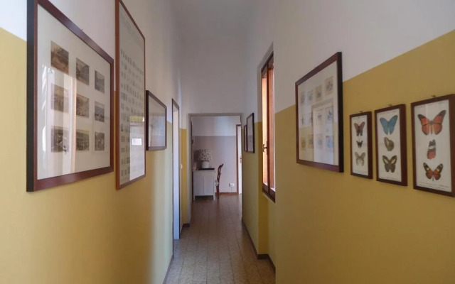 Protezione Della Giovane