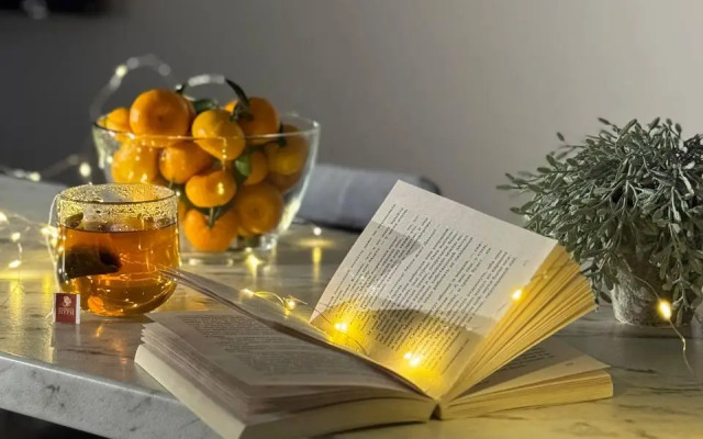 Уютные апартаменты на проспекте Стачек