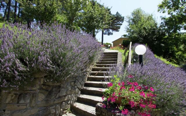 Beautiful Home With Terrace, Located in Nature