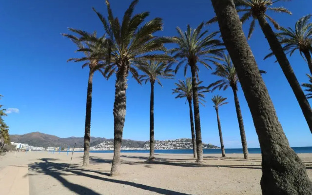 Port Estrella 24