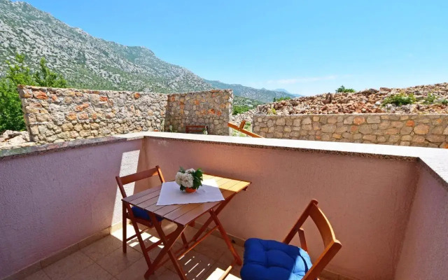 Apartment Cesarica 1