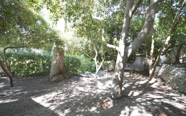 Villa Flora Studios & Apartments