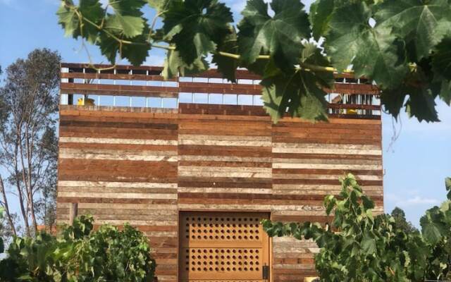 Casa Frida Valle De Guadalupe