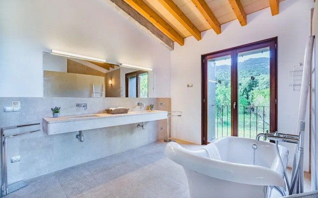 NEW 2020 - Empaltada