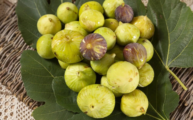 Podere40 Country Hotel