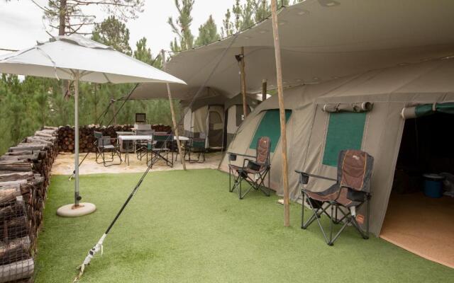 Old Mac Daddy - Campground