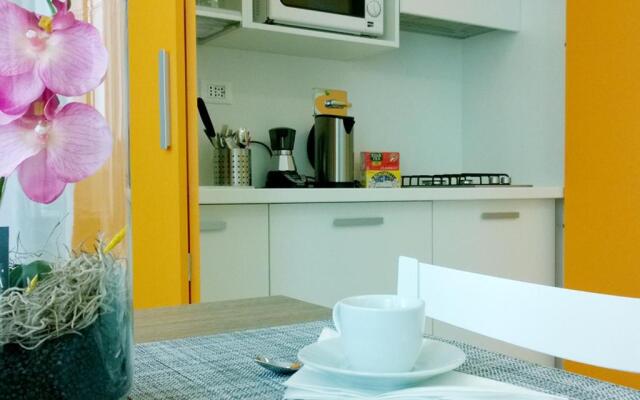 The Pope At The Window