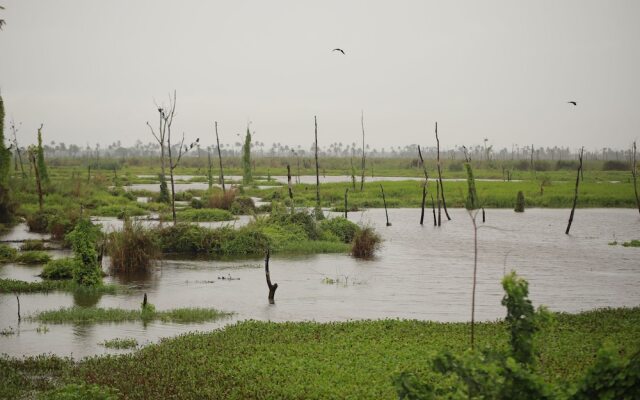 Sreekrishna Houseboat