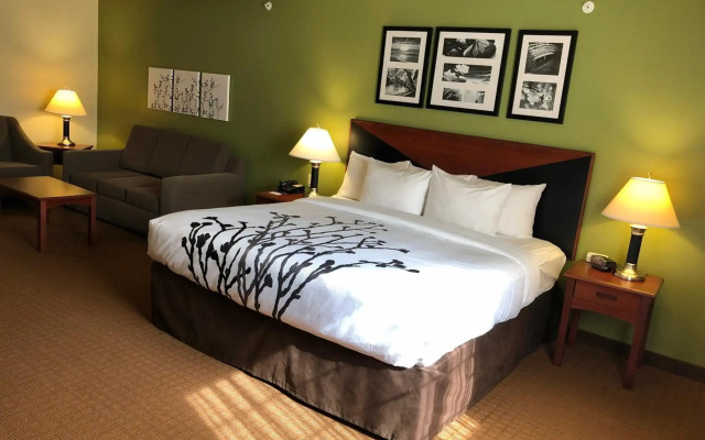 Sleep Inn & Suites Shamrock
