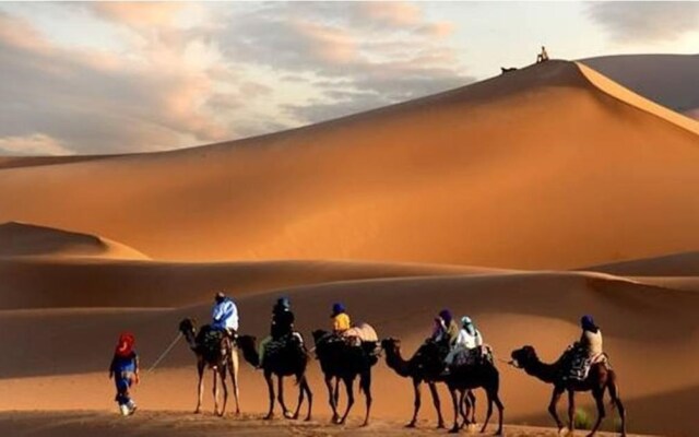 Bivouac Morocco Safari Tours