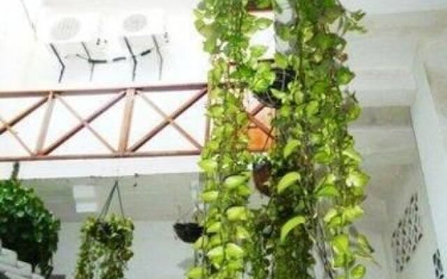 Luna Nueva Hostel