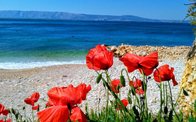 LOFT-Beach-apartments RATKO