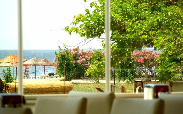 Hotel Sare