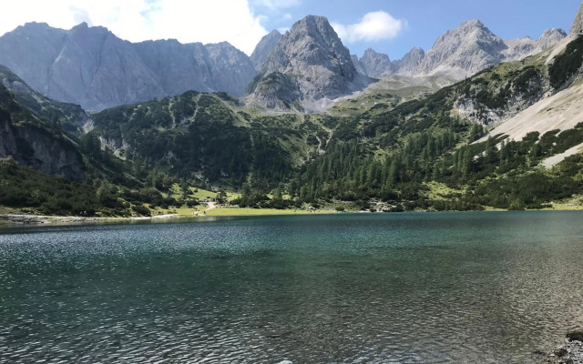 Pony-Ziegen-Hasen-Ranch Bichlbach