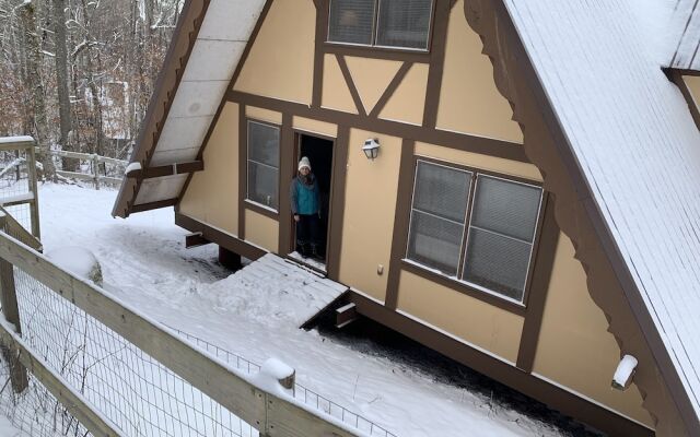 Unforgettable Dreams