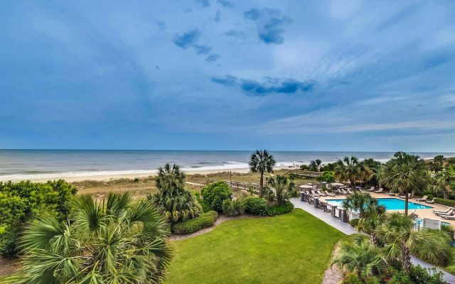 Carolina Dunes