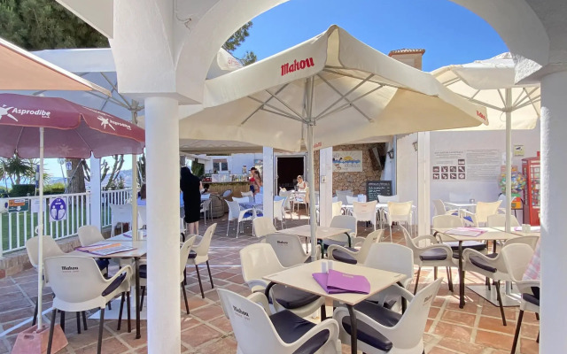 Hibiscus 7 San Juan de Capistrano