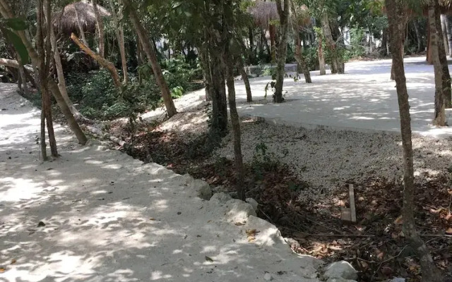 Apartamentos Riviera Maya VIP