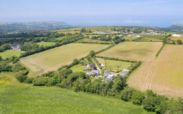 Clover at Gorslwyd - Sound Retreat