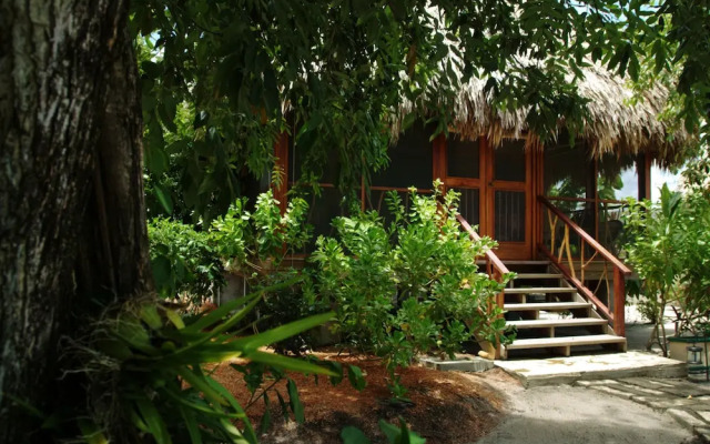 Turtle Inn by Francis Ford Coppola