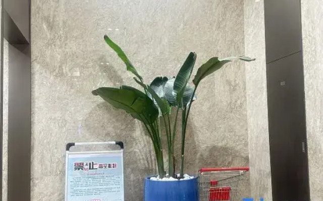 Langhui Executive Apartment (Shenzhen Nanshan Metro Station Raffles Square)