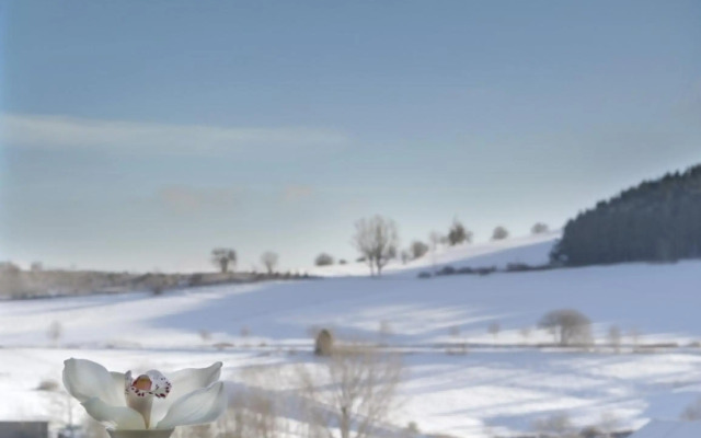 H+ Hotel Willingen