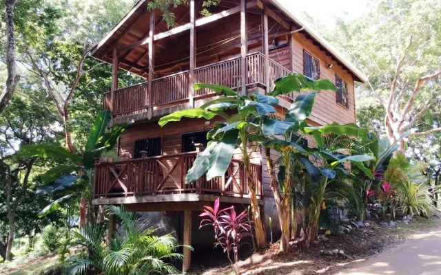 Tortuga Bahia Lower Unit