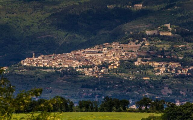 Villa Loggio Winery and Boutique Hotel