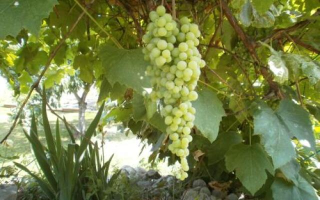 Wine Stopper B&B