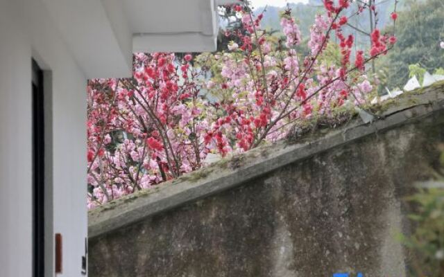 Yunfuli Yunsu·Yidao Qingcheng·camping Mountain Private Hot Spring B&B