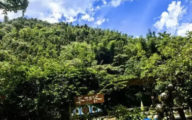 Qingyuan Tea Valley Wenquan Inn