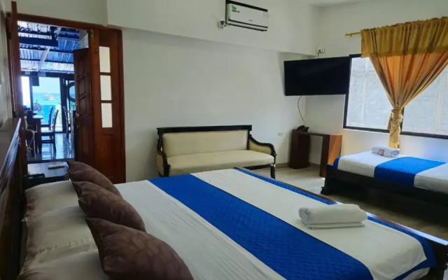 Flightless Cormorant