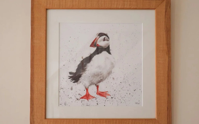Puffins