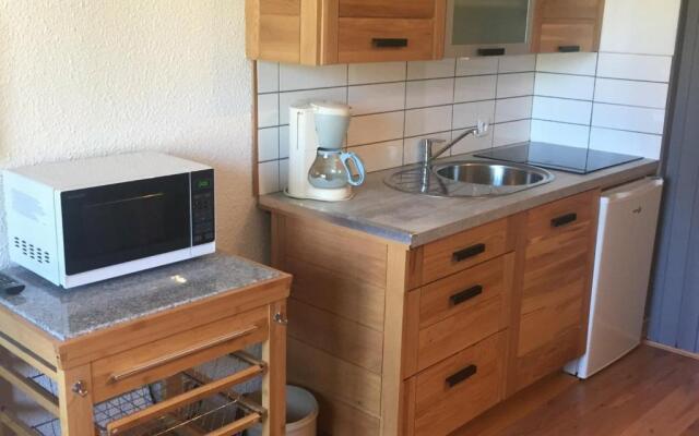 Appartement Chamonix-Mont-Blanc, 2 pièces, 3 personnes - FR-1-517-54