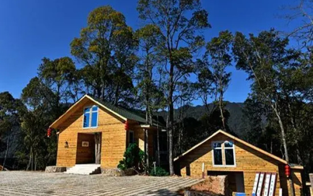 Yinxin'gu Treehouse Hotel