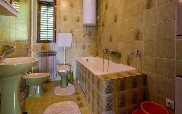 Apartment Darinka 1