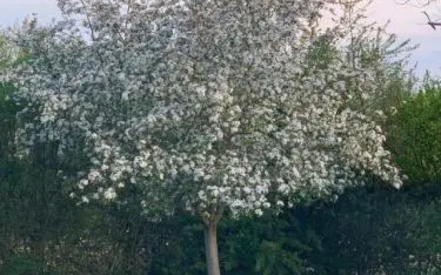 Fasthotel Saint-Amand-Montrond