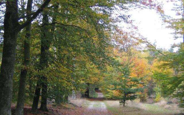 Nicely Furnished Bungalow With Dishwasher, in De Veluwe