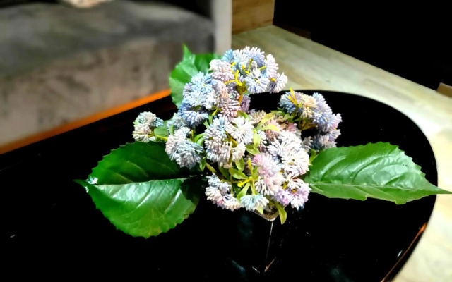 INSAIL Hotel (Shenzhen Dongmen Branch )