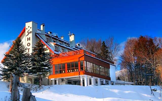 Ski Hotel