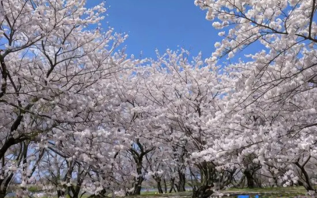 Kamiya Resort Ise Jingu Okage no Niwa