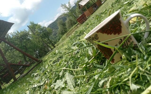 Room in Guest Room - Rural Holiday Transylvania
