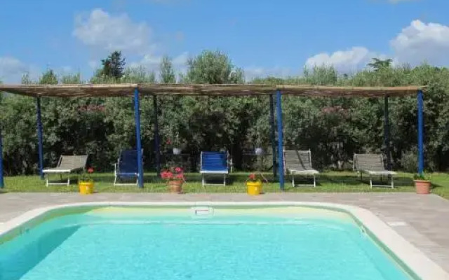 Conte Francesco Ii 233S