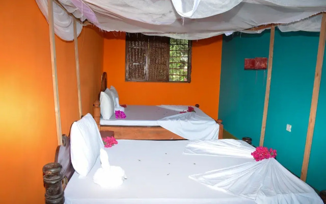 Spacious Dream House Paje