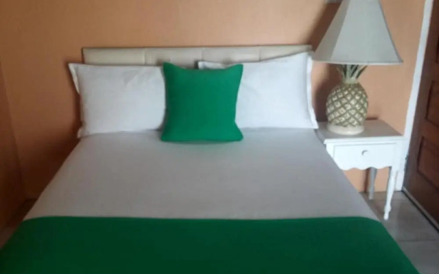 9 bed Villa Montego 10 Minute Walk to the Beach