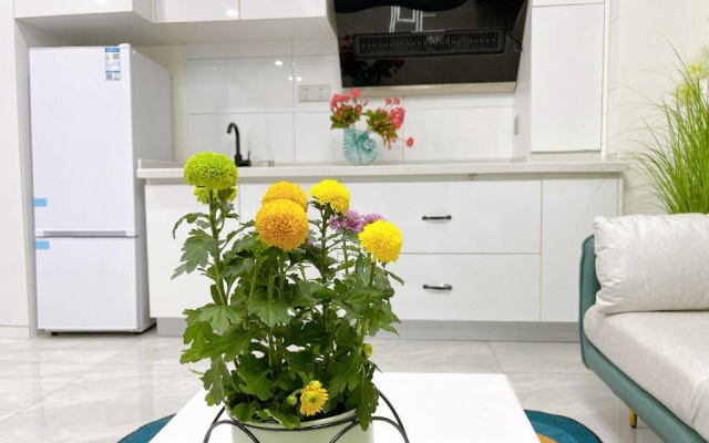 蓝色多瑙河/L0FT/大落地窗/高清巨幕投影 – Kitchen – Zhengzhou