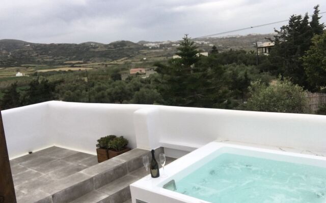 Ninemia Naxos